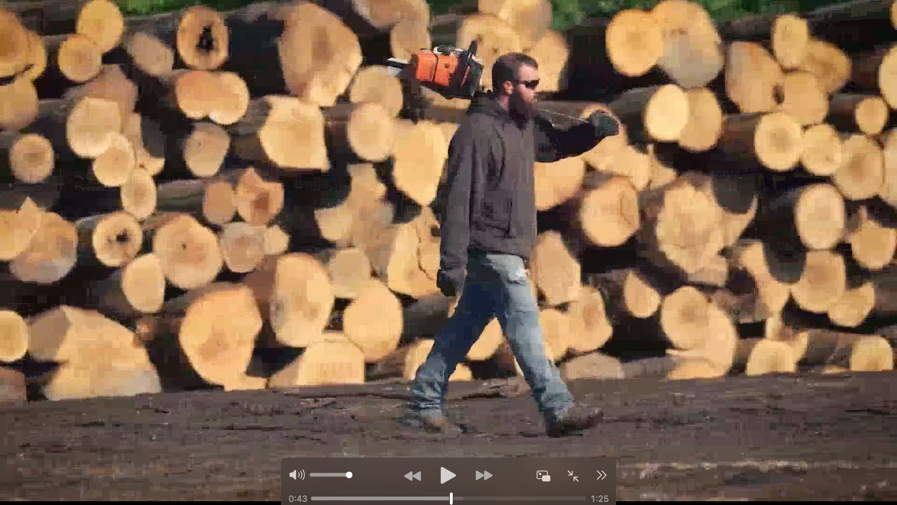 特朗普下令对进口木材发起新的关税调查 进口木材或面临更高关税