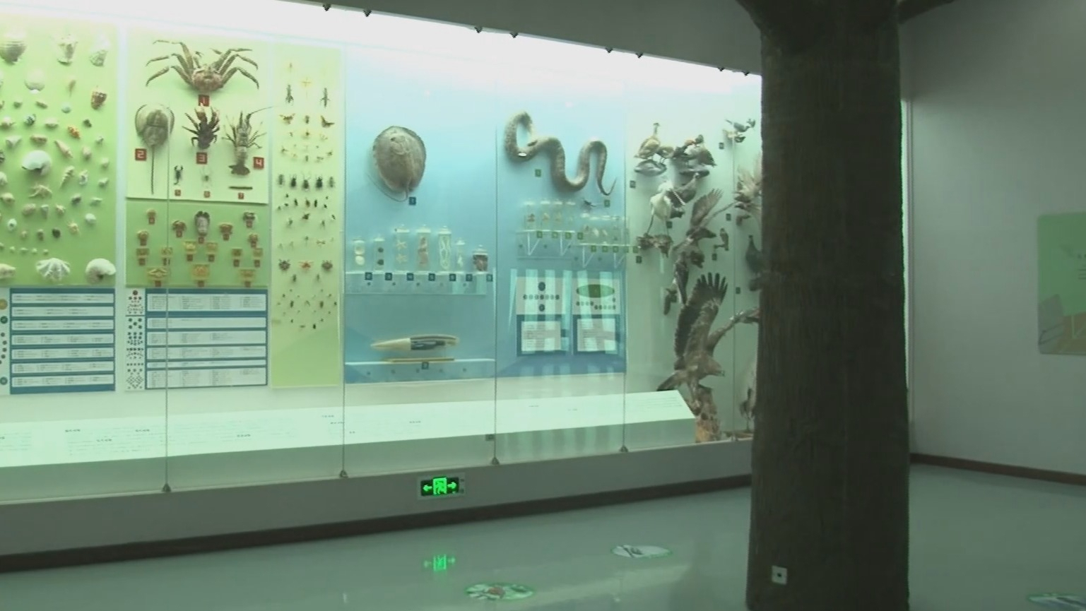 国家自然博物馆新馆已动工建设 2029年试运营 国家自然博物馆新馆已动工建设 2029年试运营