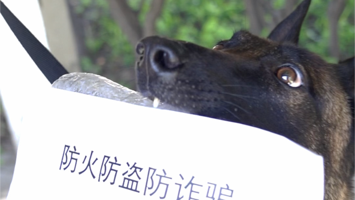 帅到你，只能说sorry#反诈