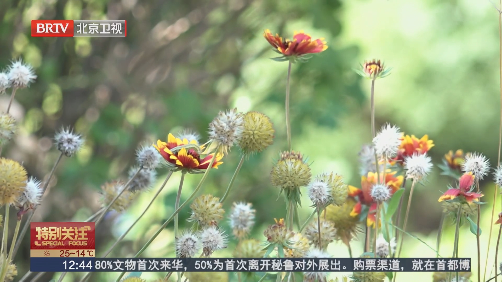 世界精神卫生日:一位抑郁症患者的独白 世界精神卫生日:一位抑郁症患者的独白
