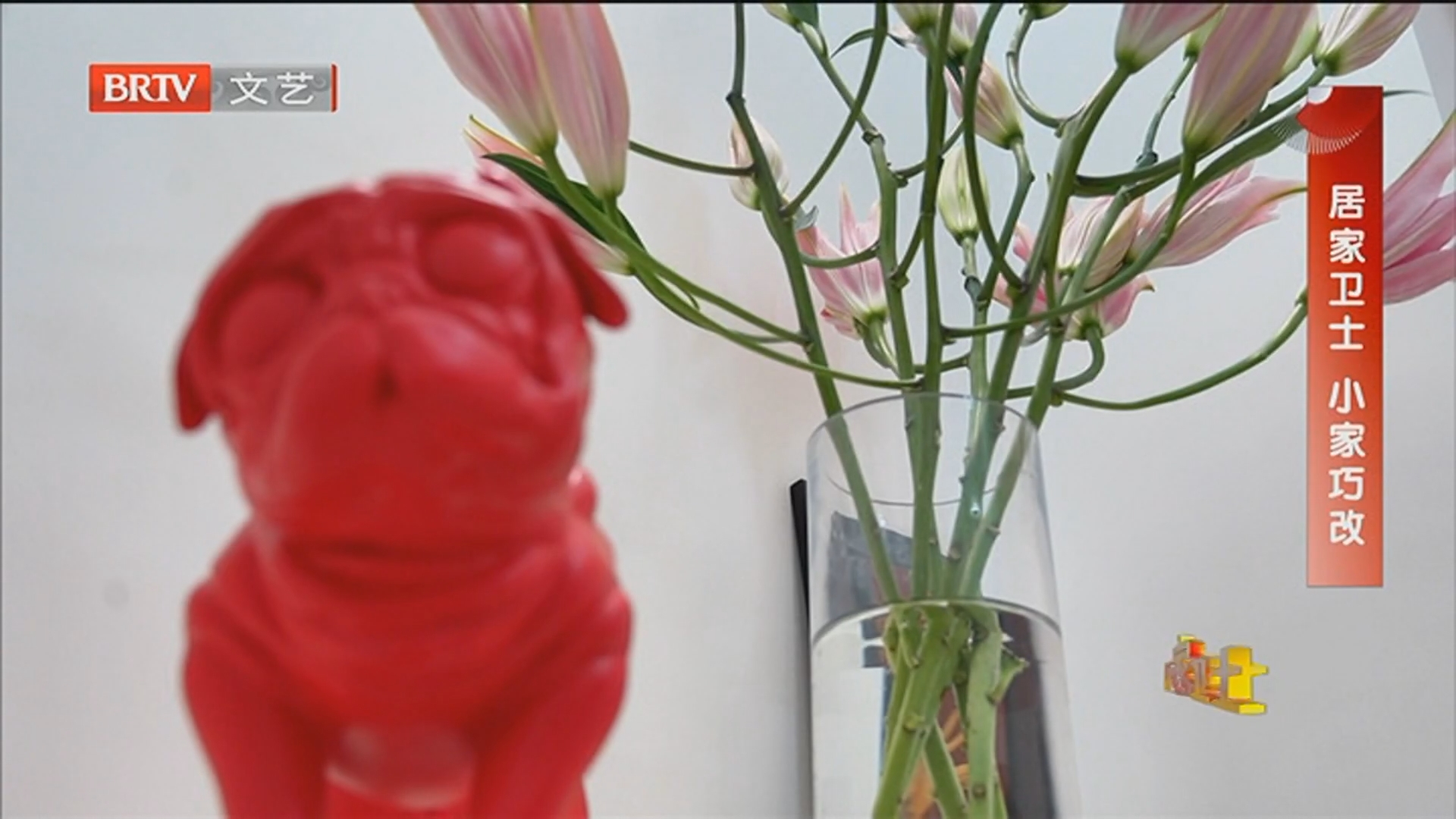 《居家卫士》20260223