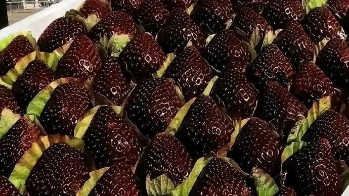 黑草莓火了，到底有什么不一样？