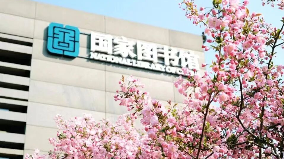 花开满城!海淀110条景观路,把春天铺到“家门口” 花开满城!海淀110条景观路,把春天铺到“家门口”