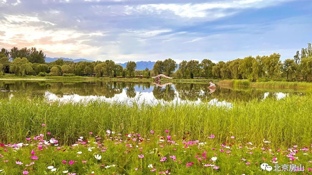 北京房山:穿越时光的皇家贡米,有什么特别之处? 北京房山:穿越时光的皇家贡米,有什么特别之处?