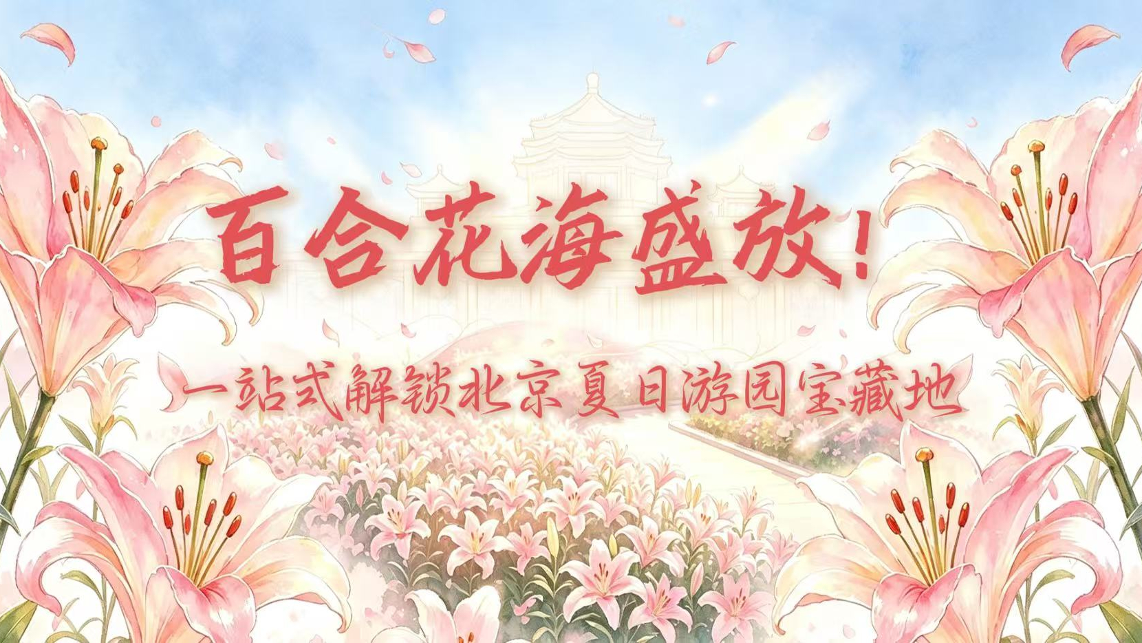 百合花海盛放！一站式解锁北京夏日游园宝藏地
