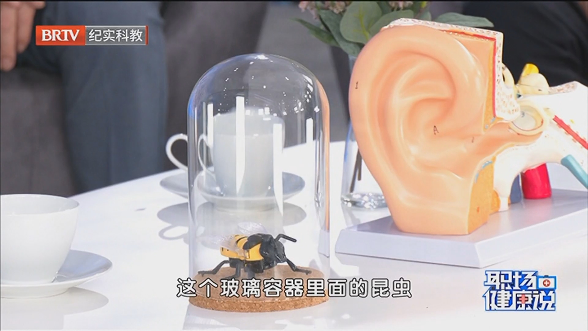 《职场健康说》20260512看不见的疾病 耳鸣