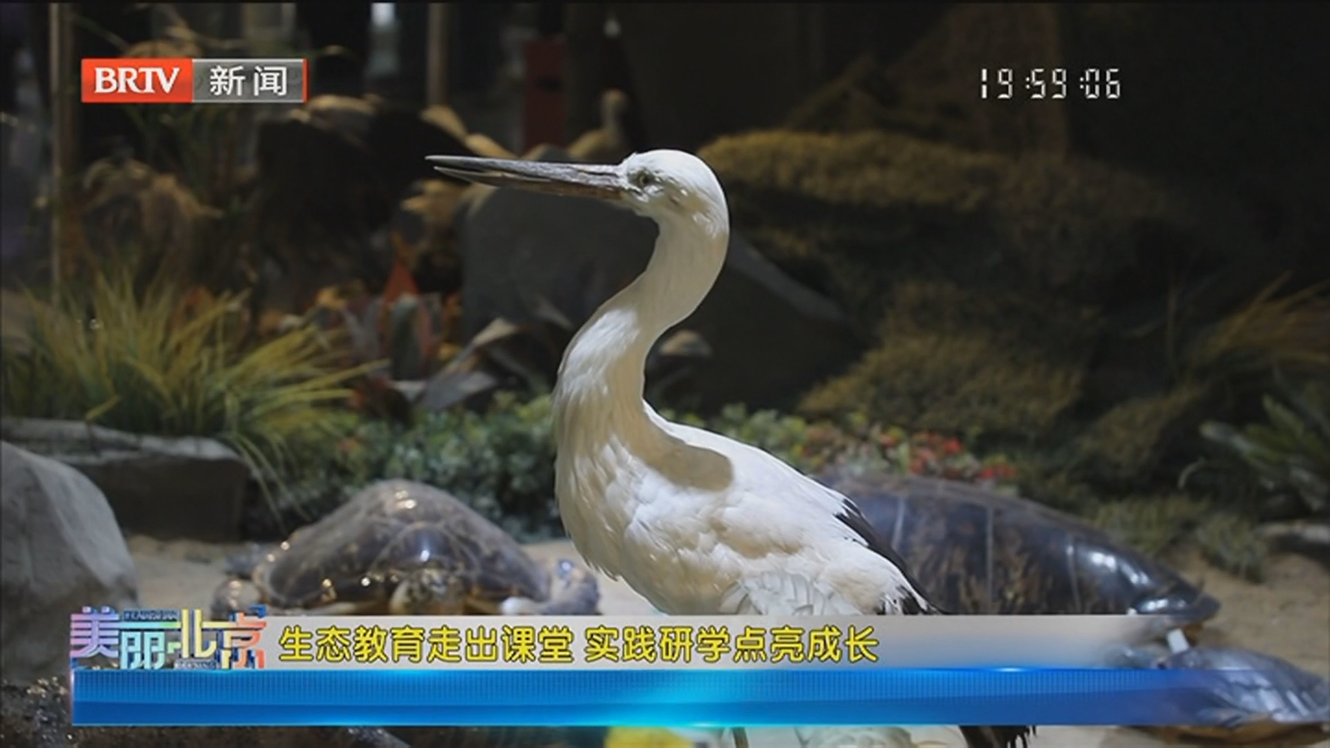 《美丽北京》20260627生态教育走出课堂 实践研学点亮成长