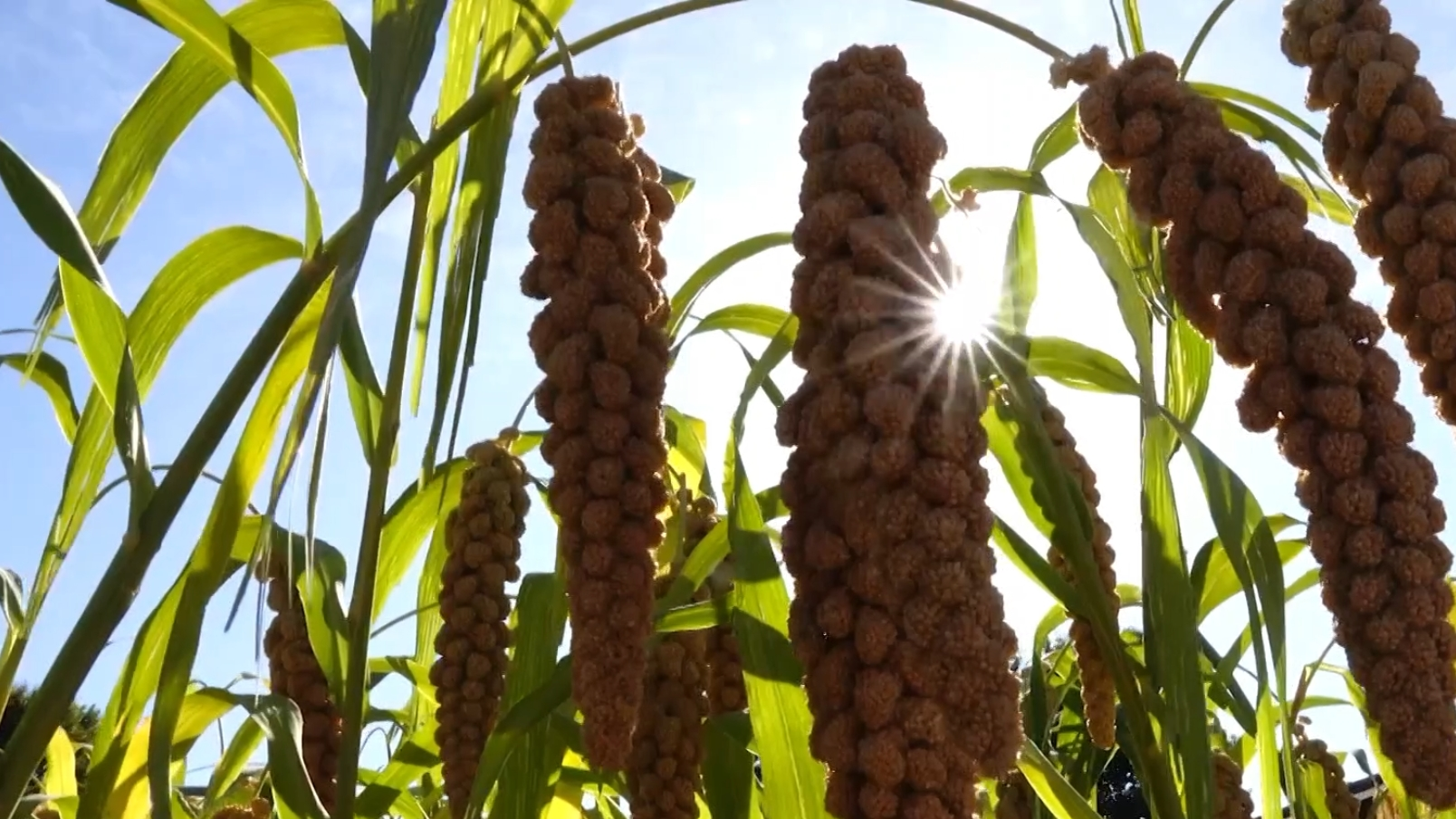 你不知道的北京中轴线上的先农坛 你不知道的北京中轴线上的先农坛