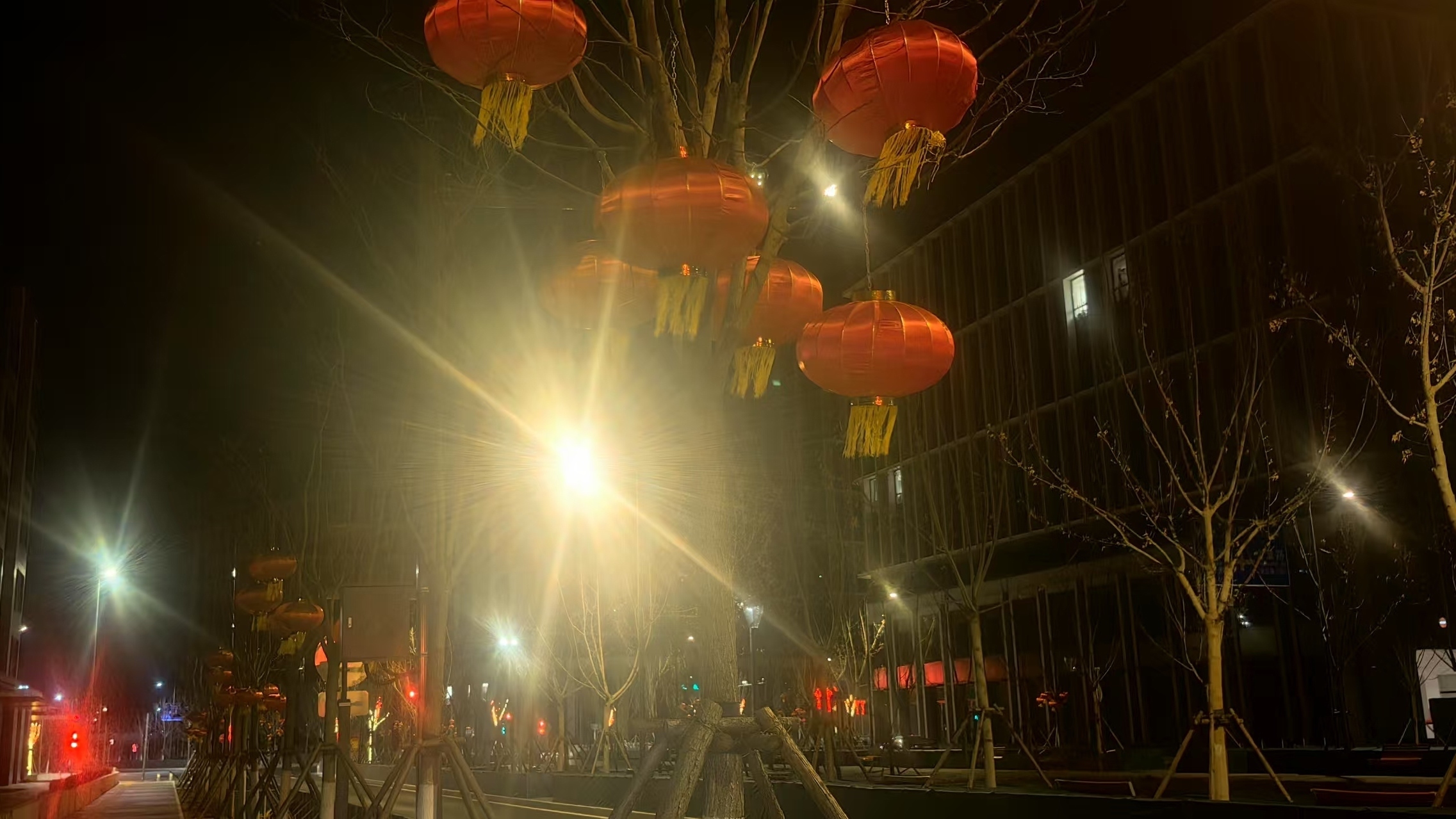 正月初一气温较低 最高气温仅1℃