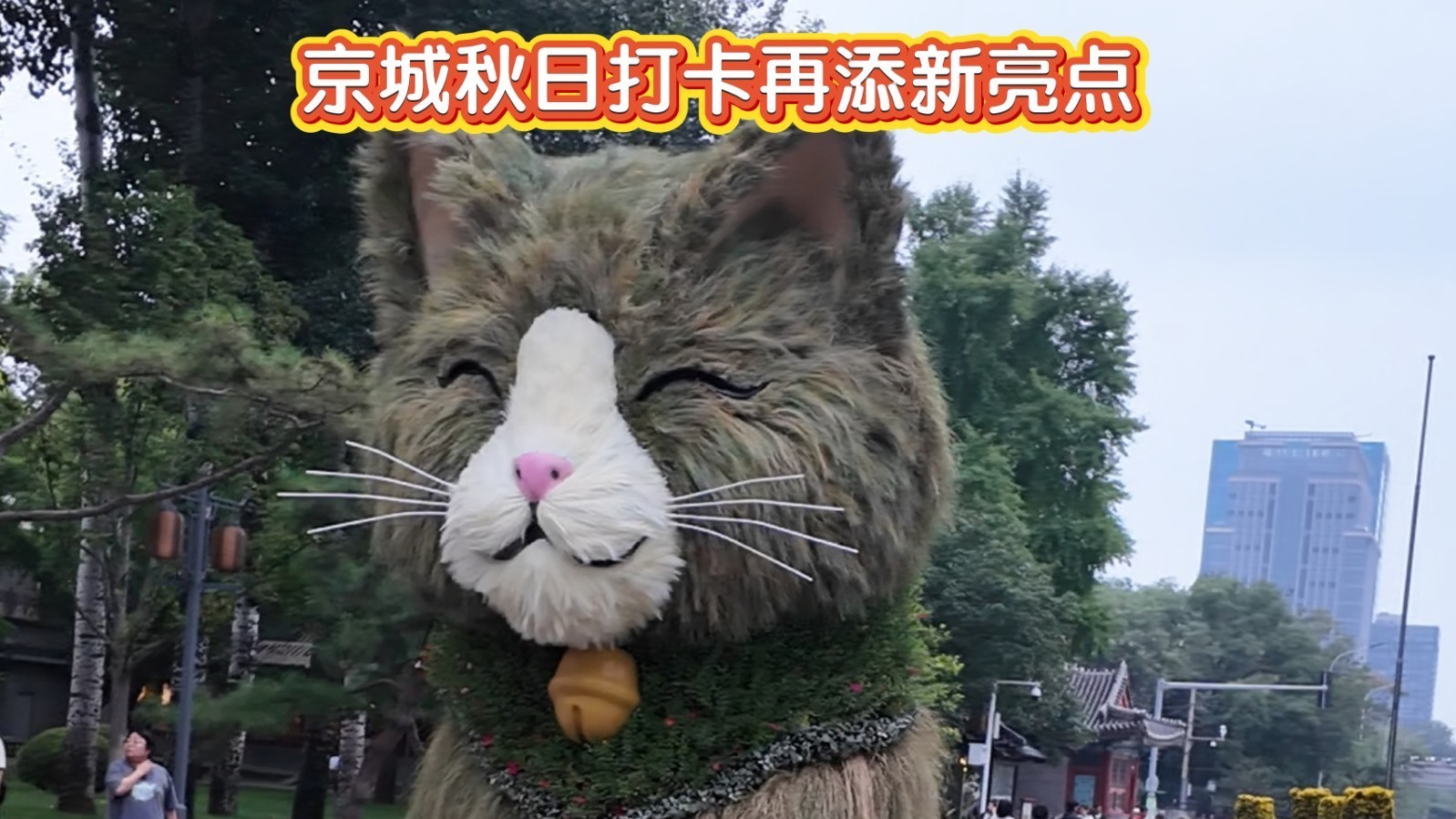 京城秋日打卡再添新亮点